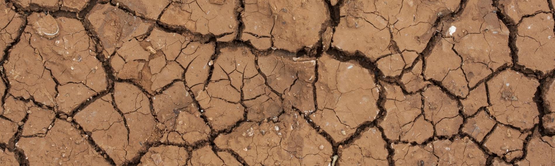 Errosion - unfruchtbarer Boden